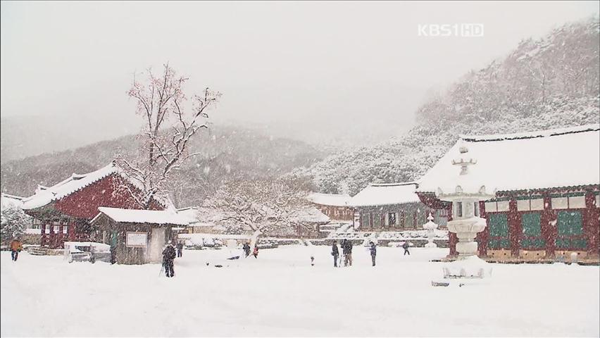 [뉴스광장 영상] 선운사 설경 