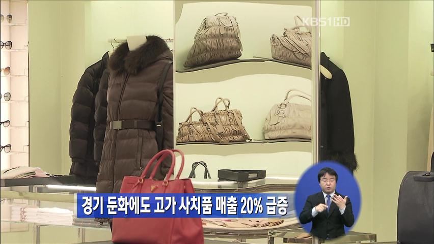 경기 둔화에도 고가 사치품 매출 20% 급증