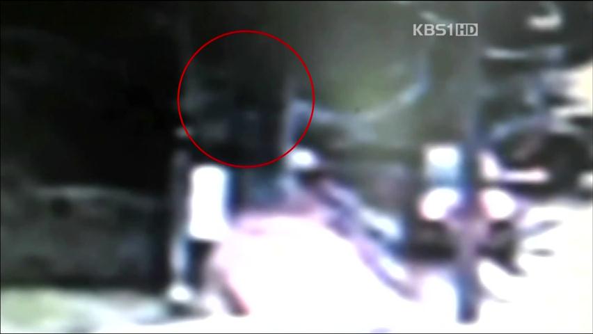 보험 설계사 낀 보험 사기단 106명 적발