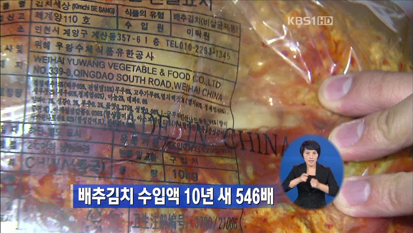 배추김치 수입액 10년 새 546배