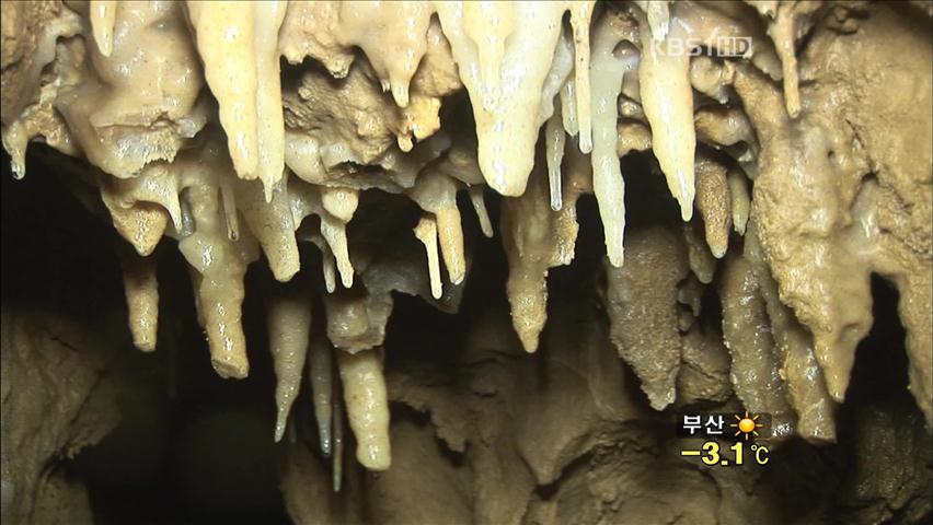 퇴적암층 첫 석회 동굴 발견