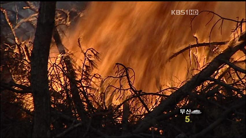 산불 조심, 영동 대형산불 원인은 ‘양간지풍’