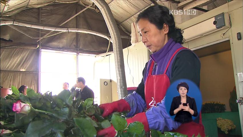 농업의 미래, ‘강소농’ 차별화로 승부