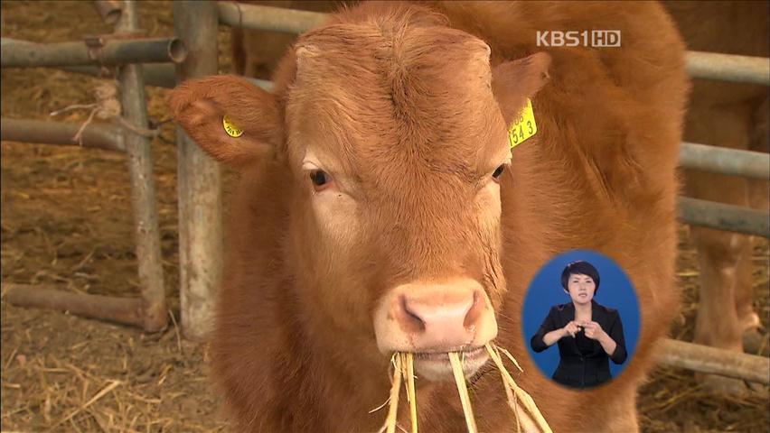 ‘FTA 피해’ 축산 농가에도 직불금 지원한다