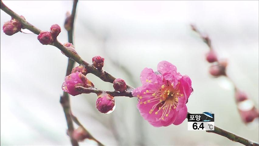 오늘 경칩…남녘은 벌써 봄 정취 ‘물씬’