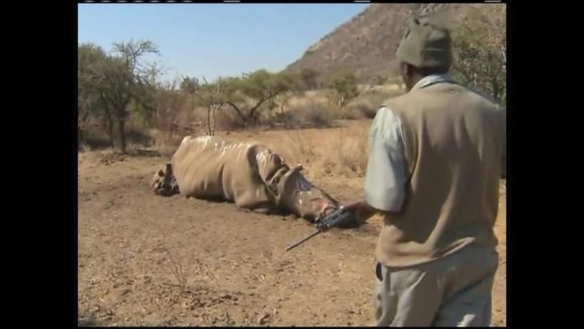코뿔소 밀렵 방지 군사 장비 도입