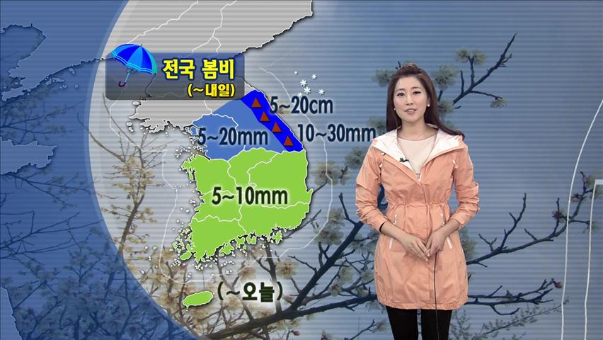 전국에 봄비…내일부터 반짝 추위