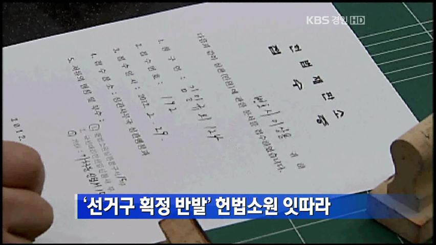 ‘선거구 획정 반발’ 헌법소원 잇따라