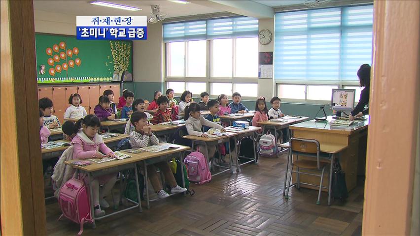 [취재현장] 대도시 ‘초미니’ 초등학교 급증