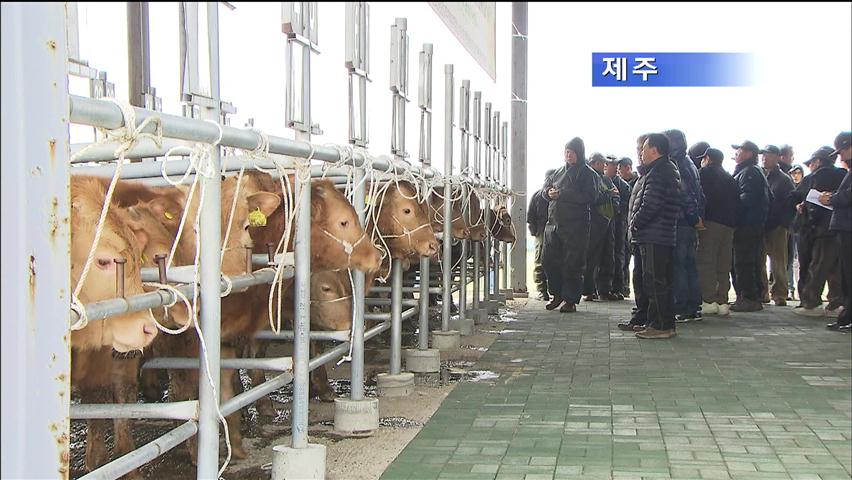 기업이 나서 축산 고통 분담