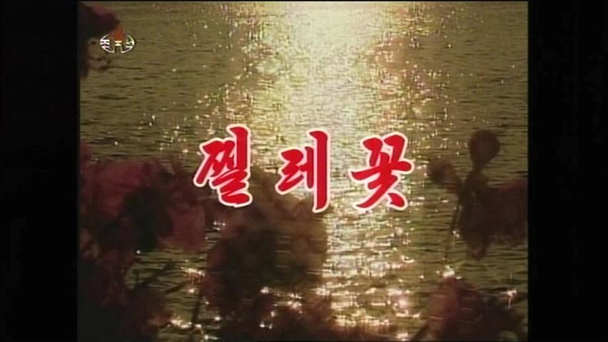 [북한영상] ‘찔레꽃’