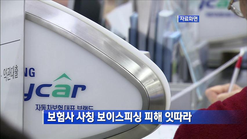 ‘보험사 사칭’ 보이스피싱 피해 잇따라 外