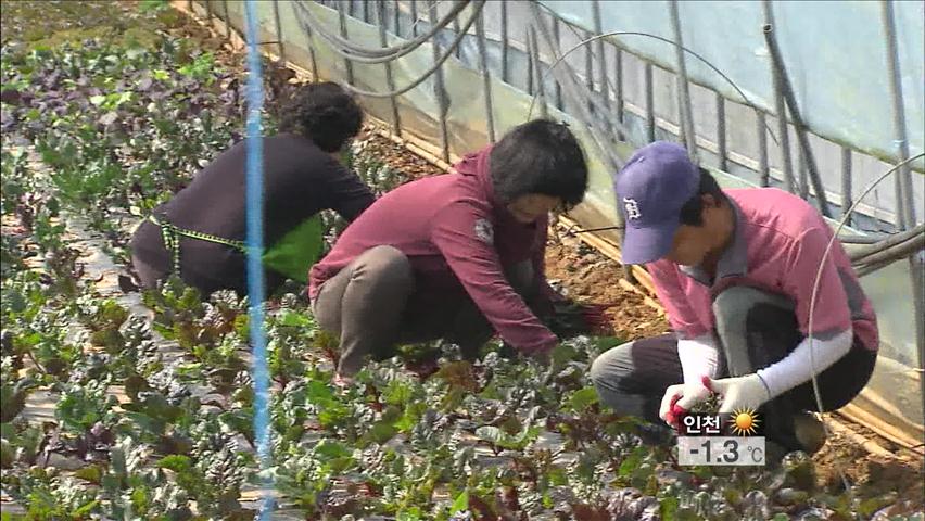 맞춤식 귀농지원…귀농층 젊어져