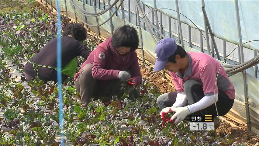 젊은 귀농인 증가 ‘맞춤식 지원’