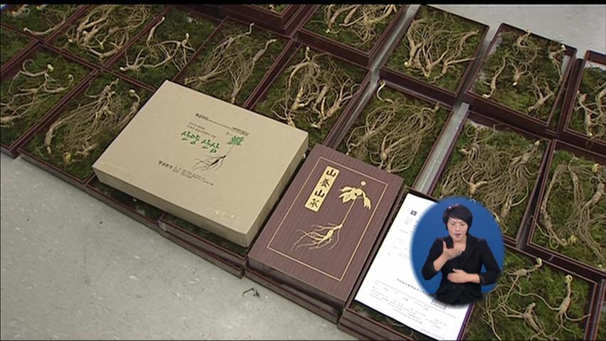 ‘농약 함유’ 중국산 장뇌삼 국산으로 속여 판매