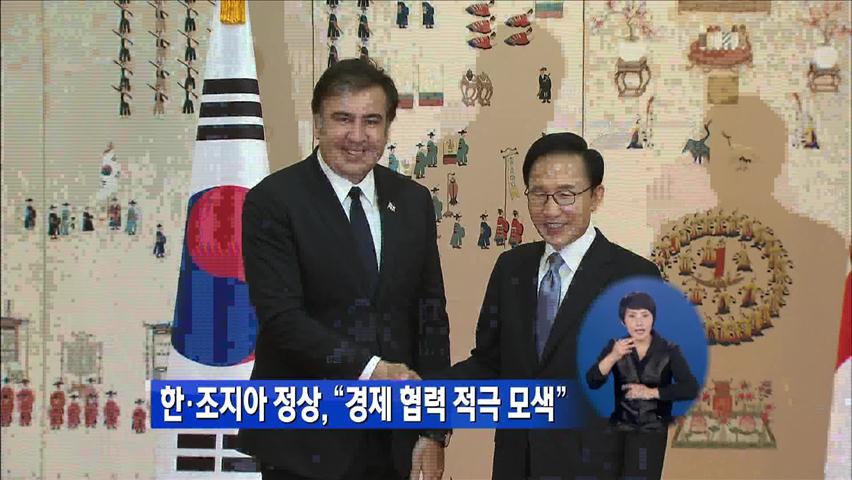 한·조지아 정상, “경제 협력 적극 모색”