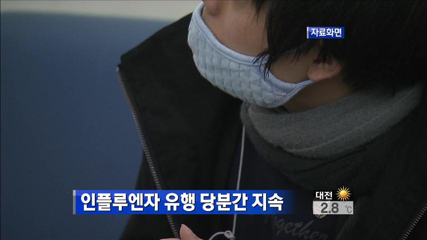 보건당국 “인플루엔자 유행 당분간 지속”