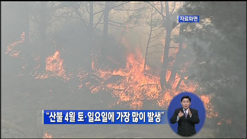 “산불 4월 토·일요일에 가장 많이 발생”