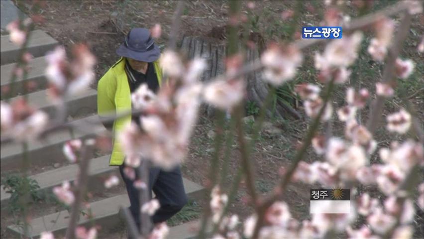 [주말공감] ‘봄향기’ 가득…봄꽃 여행