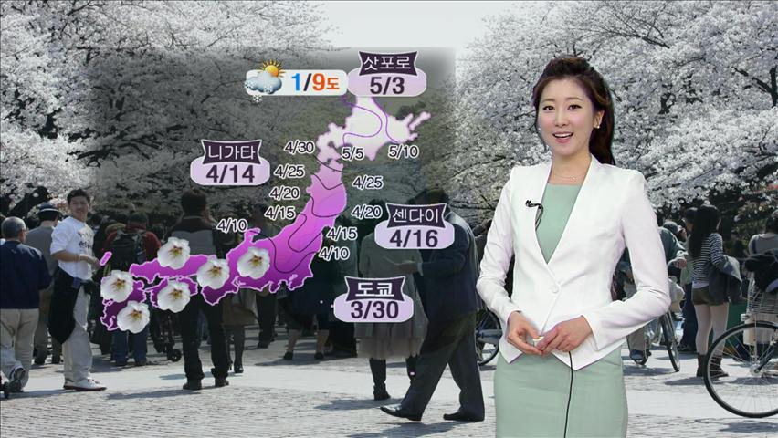 [지구촌 날씨] 일본 벚꽃놀이 ‘하나미’