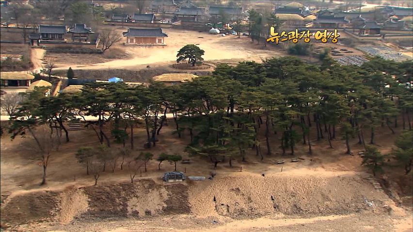[뉴스광장 영상] 안동 하회마을 만송정 숲