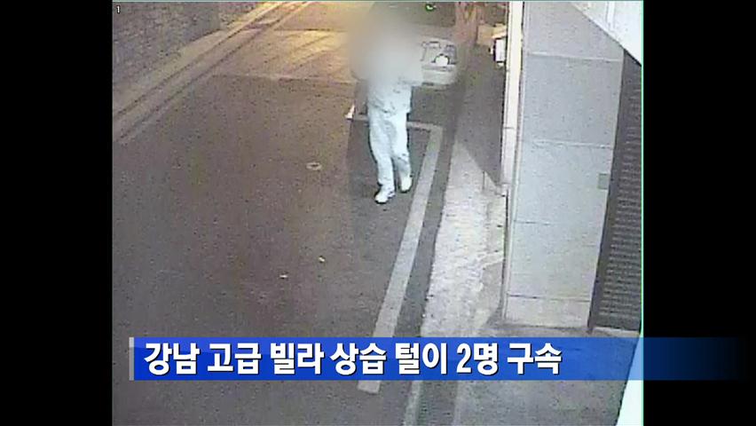 강남 고급빌라 상습털이 2명 구속