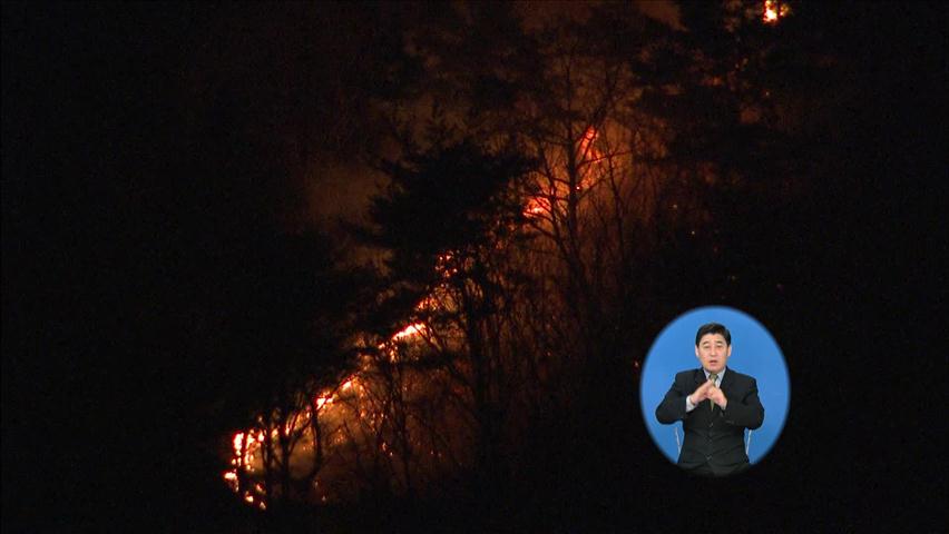 대전 국립현충원 근처 갑하산서 불