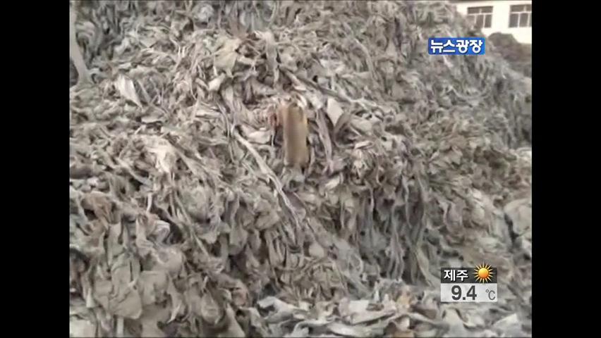 中, 의약품 캡슐서 중금속…폐가죽으로 제조