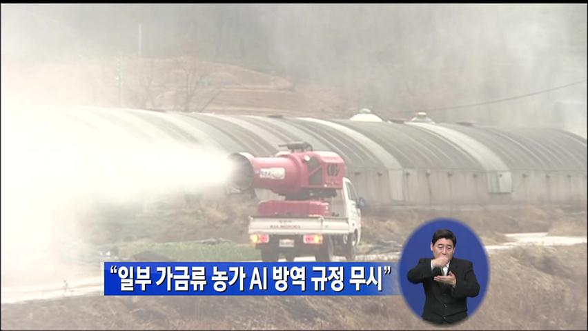 “일부 가금류 농가 AI 방역 규정 무시”