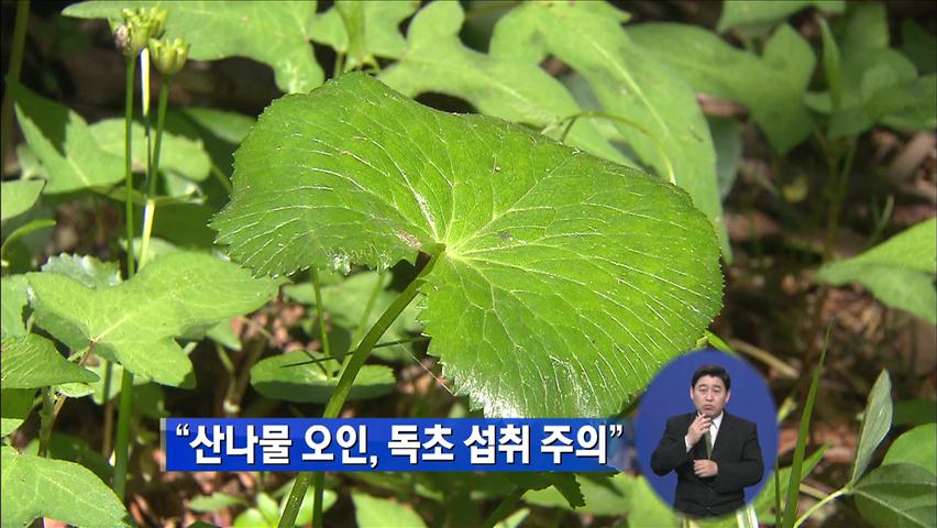 “산나물 오인, 독초 섭취 주의”