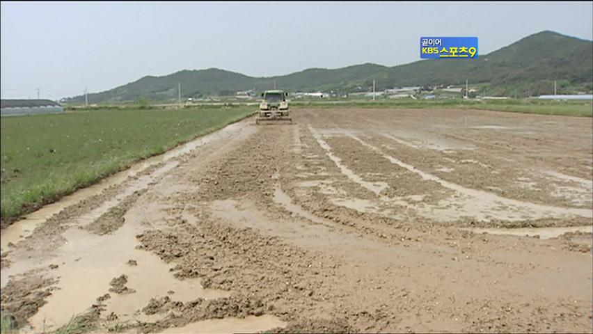 ‘풍년 기원’ 곡창지대 호남평야 통수식