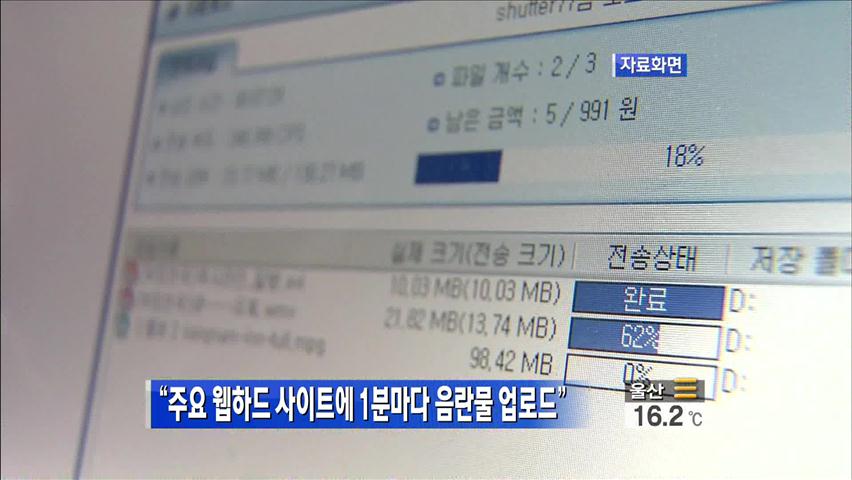 “주요 웹하드 사이트에 1분마다 음란물 업로드”