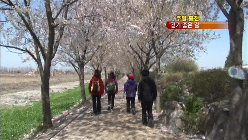 [주말충전] 도심 속 보물 같은 쉼터…‘걷기 좋은 길’