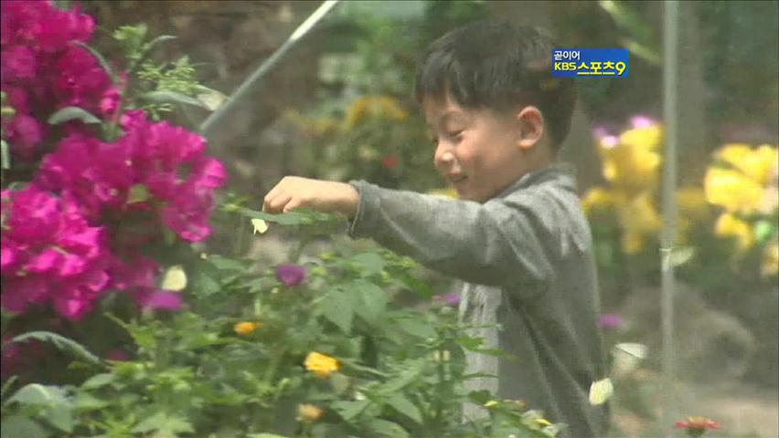 함평 나비축제…나비가 몰고온 봄의 향연