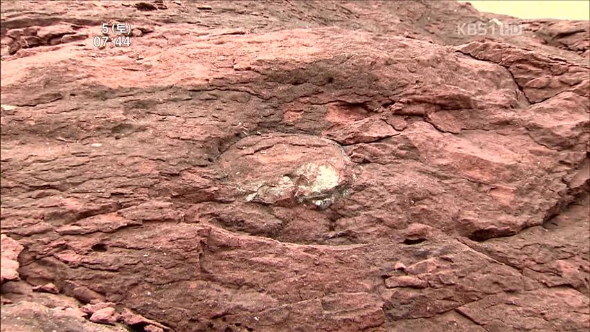 [뉴스광장 영상] 화성 고정리 공룡알화석 산지