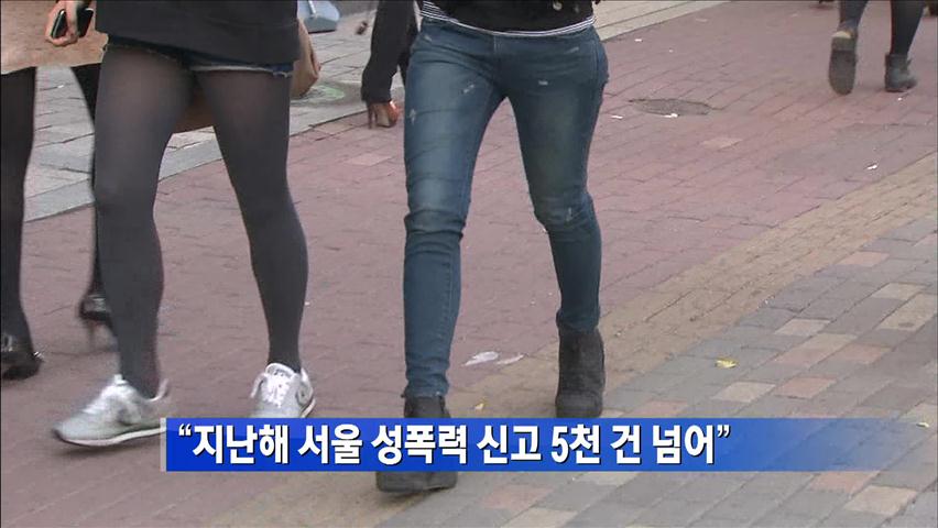 “지난해 서울 성폭력 신고 5천 건 넘어”