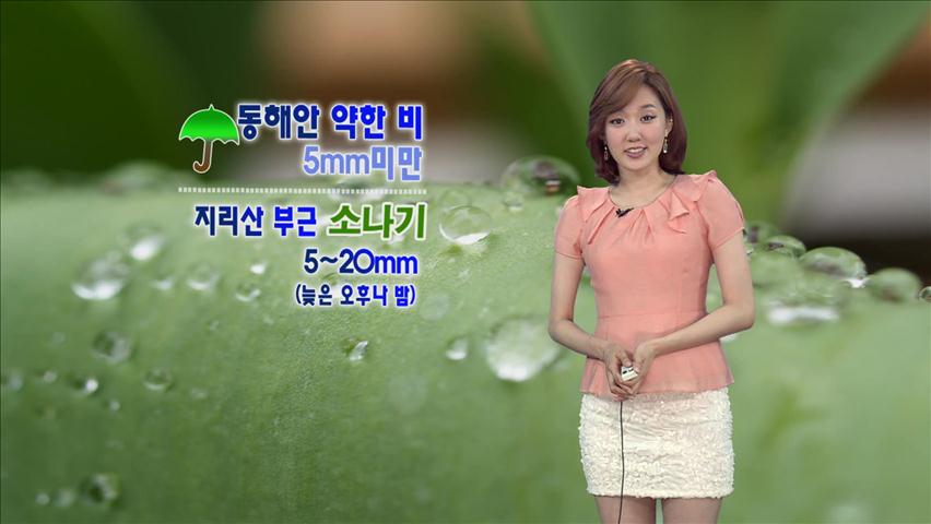 서쪽 고온-동쪽 선선…동해안 약한 비