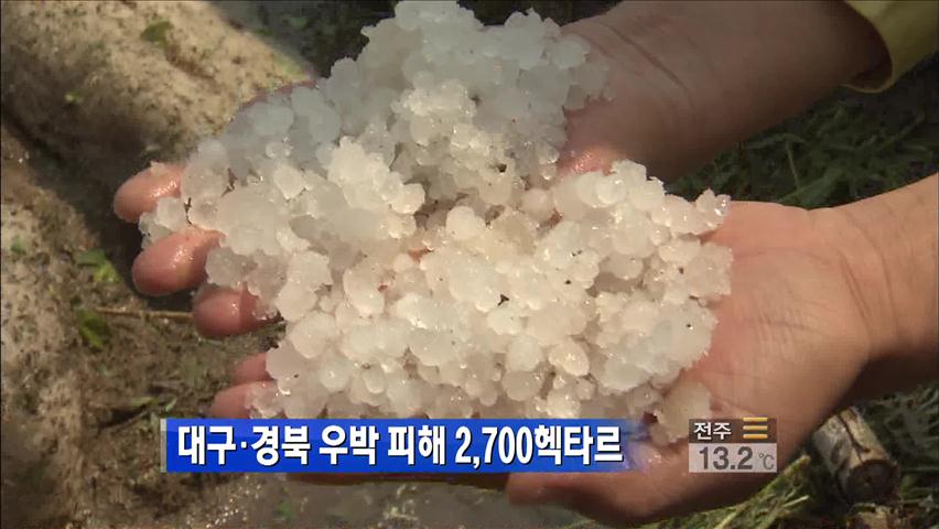 [생생경제] 대구·경북 우박 피해 2,700㏊