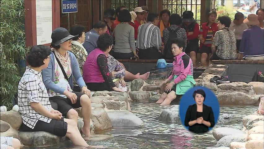 ‘5월 눈꽃’ 이팝꽃 만발한 유성 온천 축제