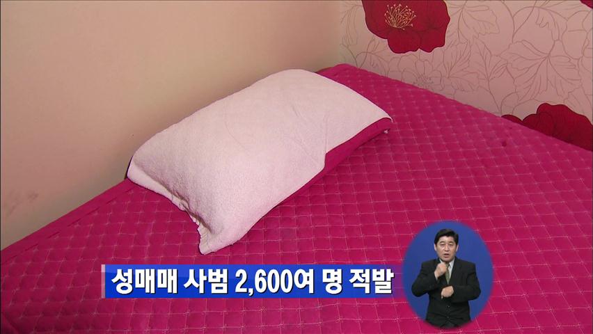성매매 사범 2,600여 명 적발