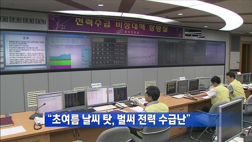 “벌써 전력 수급난…초여름 날씨 탓”