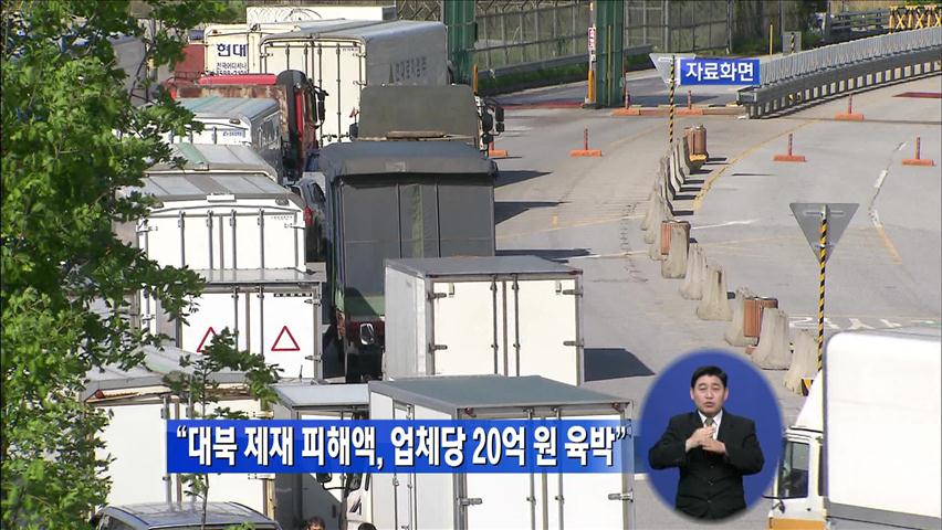 “대북 제재 피해액, 업체당 20억 원 육박”