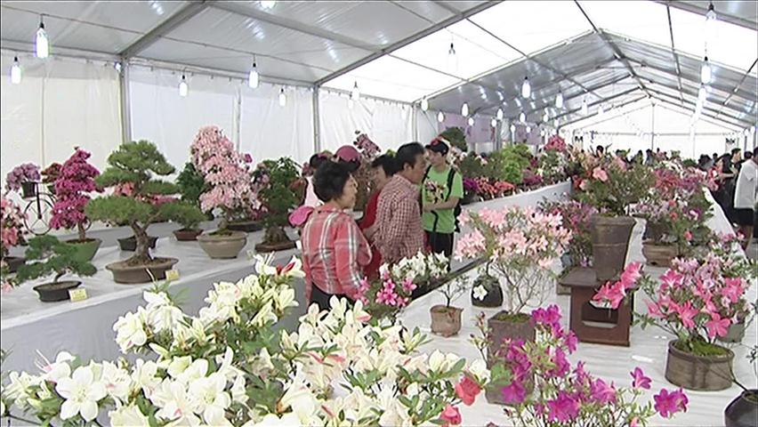 황금 연휴맞아 전국 곳곳 ‘축제 물결’