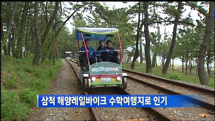 삼척 해양레일바이크 수학여행지로 인기
