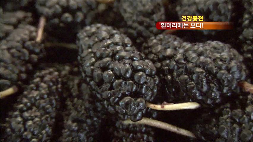 [건강충전] 빨리 자라는 ‘흰머리’에는 검은 ‘오디’