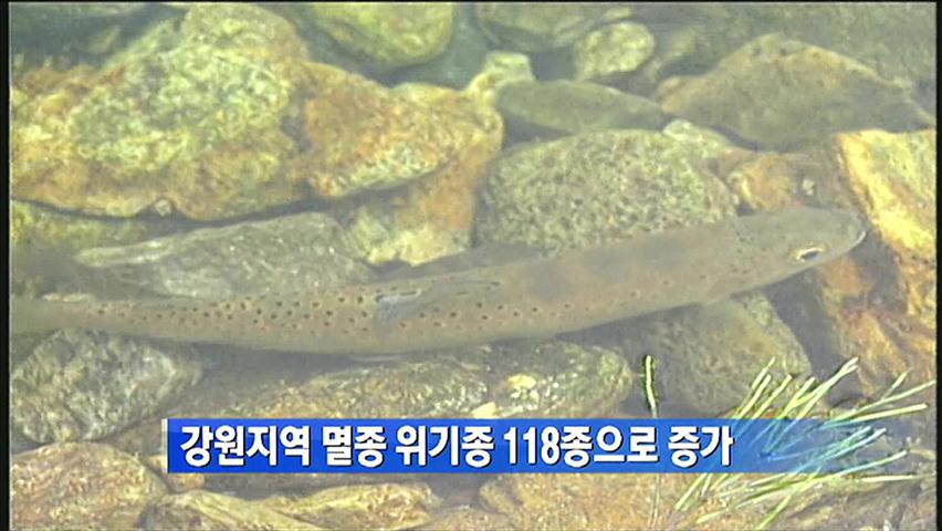 강원지역 멸종 위기종 118종으로 증가