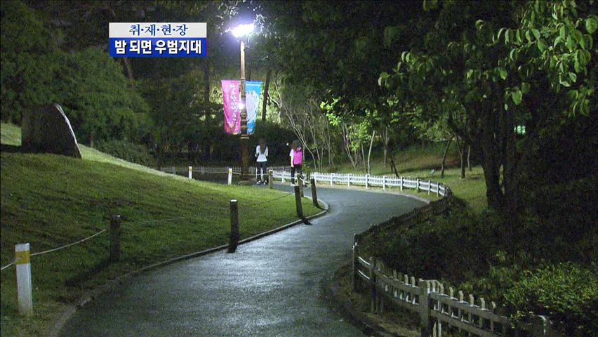 [취재현장] 밤이면 ‘우범지대’…위험한 도심 공원