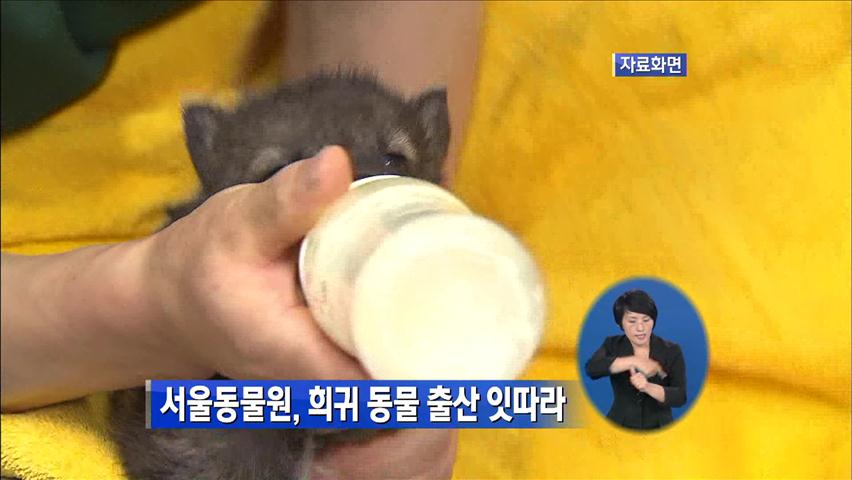 서울동물원, 희귀동물 출산 잇따라
