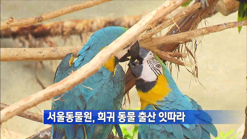 서울동물원, 희귀동물 출산 잇따라
