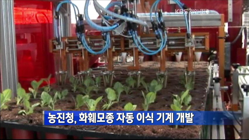 농진청, 화훼모종 자동 이식 기계 개발